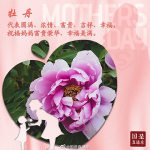 ​母亲节送什么花最适合 母亲节如何选花？这些花语要知道