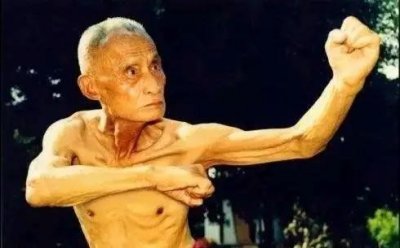 武林奇葩:自然门功夫秘要