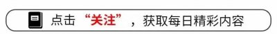 ​朱德任命俘虏为炮兵旅参谋，苗德功惊讶：老哥，你咋比我还能吹呢