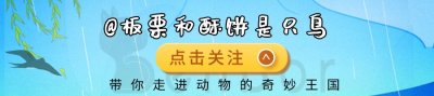 ​霍氏不死虫真实存在过吗？远古时期的巨虫，到底是什么样的生物