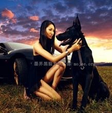 哮天犬原型:中国黑狼犬,太优美了