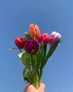 ​祝母亲节快乐句子（母亲节创意祝福语）