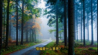 ​忠民律师谈刑辩|惜福是什么意思呢？