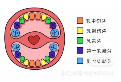 ​宝宝要长乳牙了，出牙时间和顺序你了解吗？