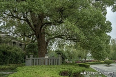 ​南昌的十大景点