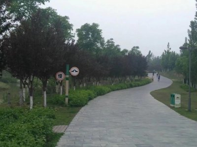 ​我对秦腔戏的浅显认知