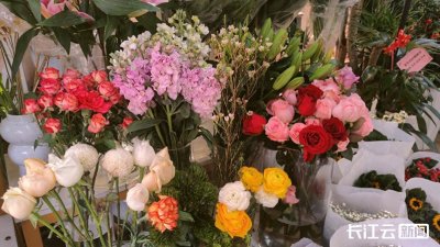 年宵花价格持续升温!玫瑰花将卖到10元每枝