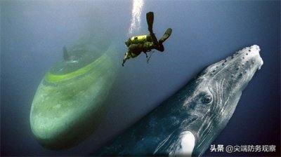 诡秘“鲸歌”,美军最烧脑的水下通讯系统,专家坦言几乎无法破解