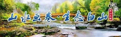 ​万达水乐园10月8日起闭园，12月我们相约再见！