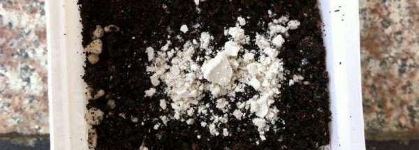 生根粉的成分,生根粉都是什么成分图4