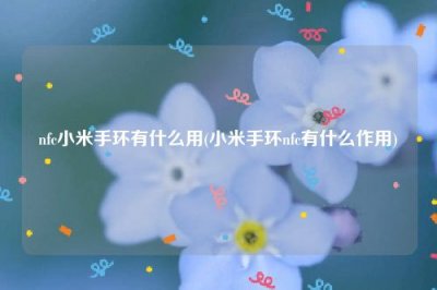 ​nfc小米手环有什么用(小米手环nfc有什么作用)