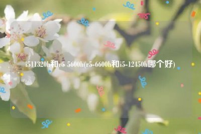 ​i511320h和r5 5600h(r5-6600h和i5-12450h哪个好)