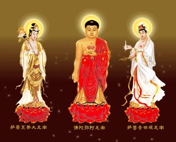 请看殊胜短片 :阿弥陀佛接引全过程!让我们回归极乐!