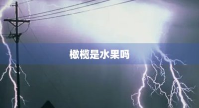 ​橄榄是水果吗(橄榄有几种)
