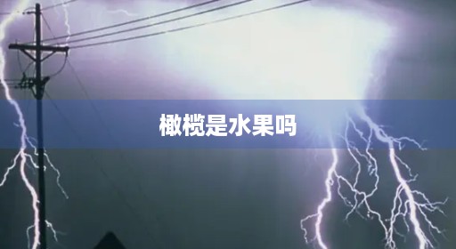 橄榄是水果吗
