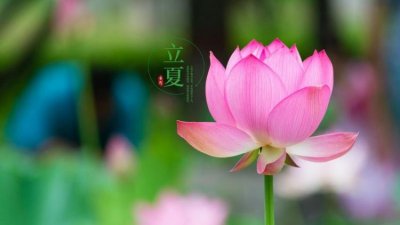 ​描写立夏的唯美诗句,关于立夏节气的古诗