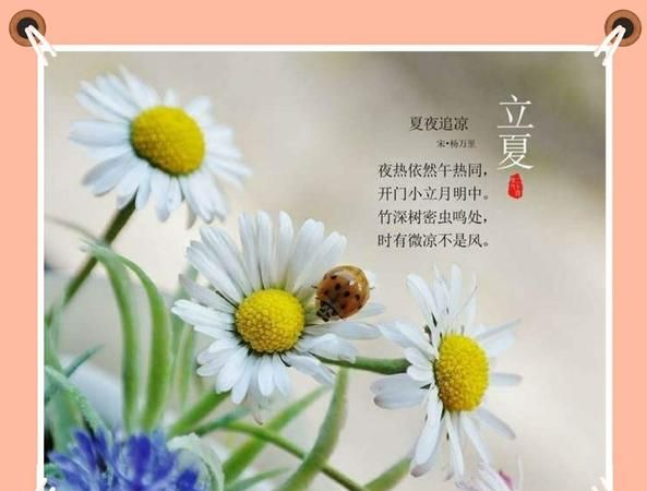 关于立夏的诗句精选首句