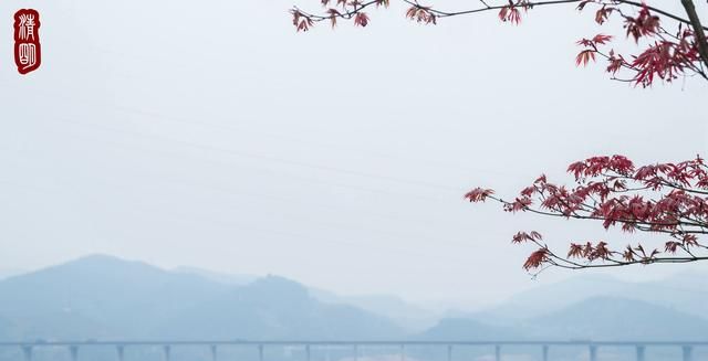 武宁县美食，你敢用一道美食，说明你的出生地吗？图36