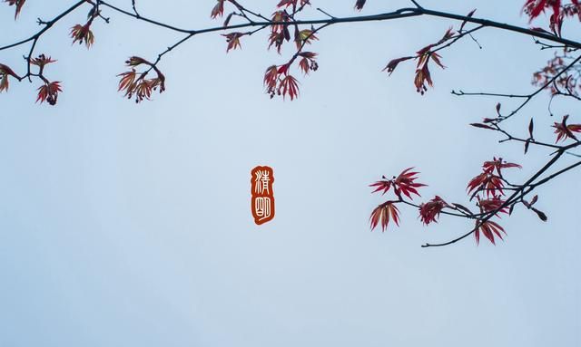 武宁县美食，你敢用一道美食，说明你的出生地吗？图37