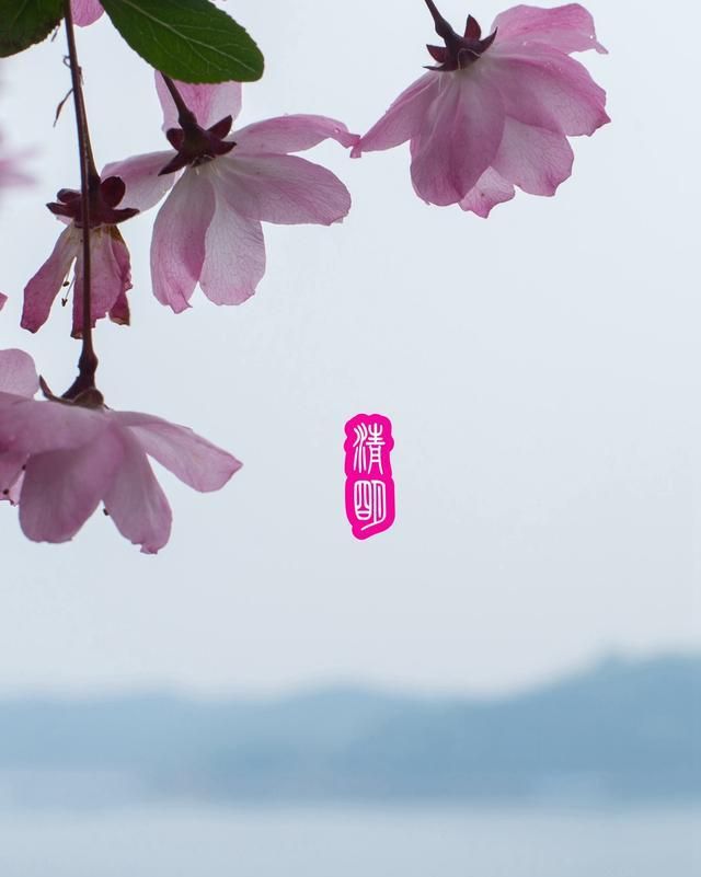 武宁县美食，你敢用一道美食，说明你的出生地吗？图35