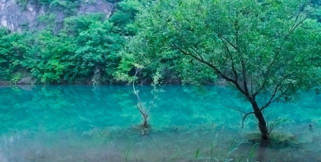 武宁县美食，你敢用一道美食，说明你的出生地吗？图52