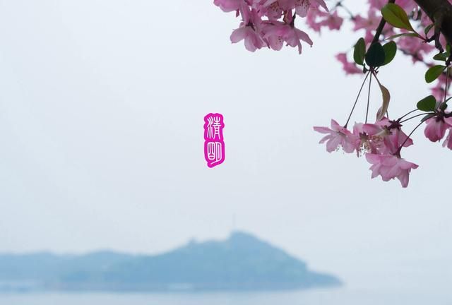 武宁县美食，你敢用一道美食，说明你的出生地吗？图34