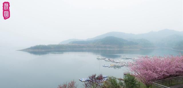 武宁县美食，你敢用一道美食，说明你的出生地吗？图33