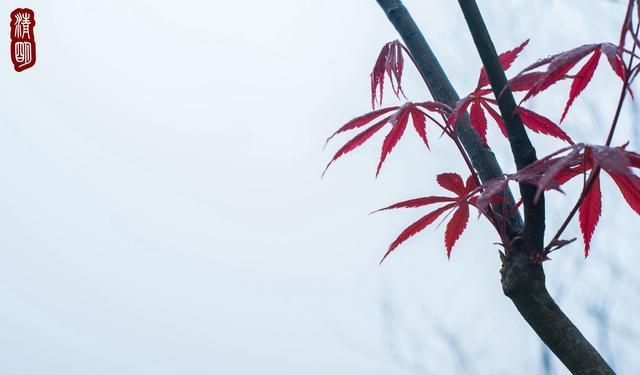 武宁县美食，你敢用一道美食，说明你的出生地吗？图38