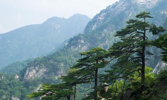 武宁县美食，你敢用一道美食，说明你的出生地吗？图15