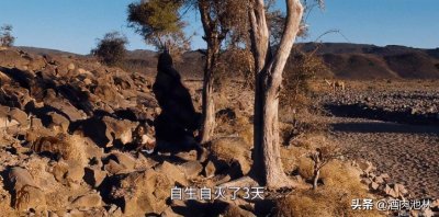​女性割礼后有什么变化（女性割礼是什么回事）