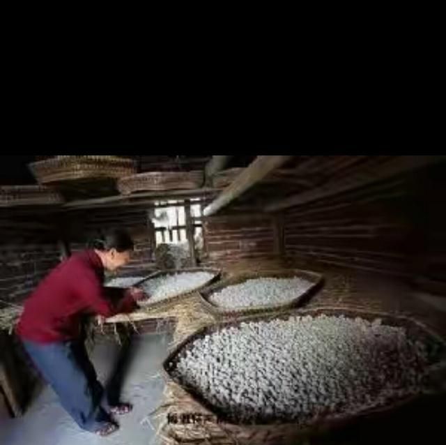 合作市美食，赣州于都县有哪些美食？图5