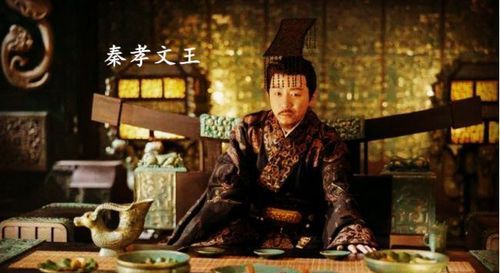 子楚和赢驷是什么关系