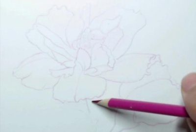 如何用彩铅画花