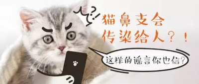 ​猫鼻支会不会传染给人类（猫咪的生活环境会影响猫咪健康）