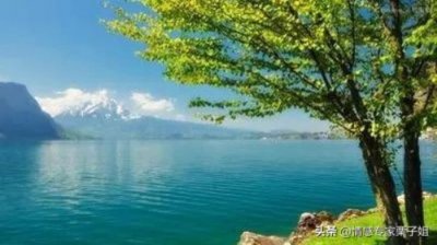 ​老公花心,还经常出轨,要离婚吗（老公出轨该不该离婚）