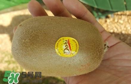 黄心猕猴桃叫什么名字?黄心猕猴桃是什么品种 黄心猕猴桃叫什么名字?黄心猕猴桃是什么品种