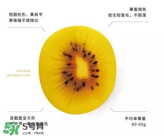 黄心猕猴桃叫什么名字?黄心猕猴桃是什么品种 黄心猕猴桃叫什么名字?黄心猕猴桃是什么品种