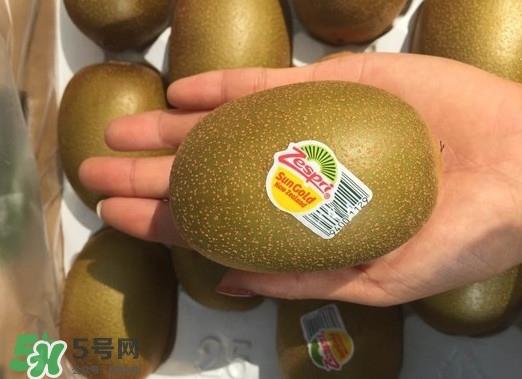 黄心猕猴桃叫什么名字?黄心猕猴桃是什么品种 黄心猕猴桃叫什么名字?黄心猕猴桃是什么品种