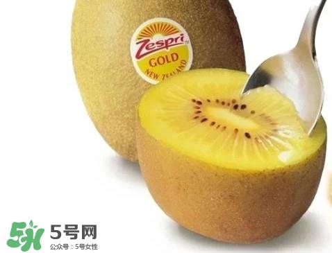 黄心猕猴桃叫什么名字?黄心猕猴桃是什么品种 黄心猕猴桃叫什么名字?黄心猕猴桃是什么品种