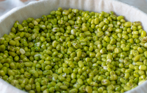 如何发绿豆芽简单方法,自己怎样发绿豆芽图5