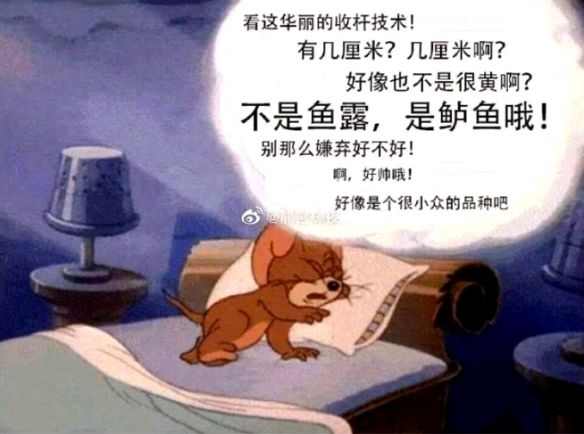 千层饼什么梗(网络用语每周梗千层饼含义)