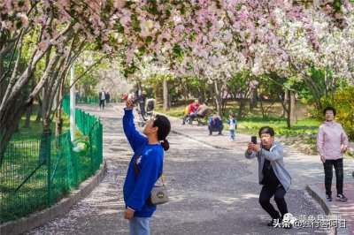 ​听老青岛说说李村公园