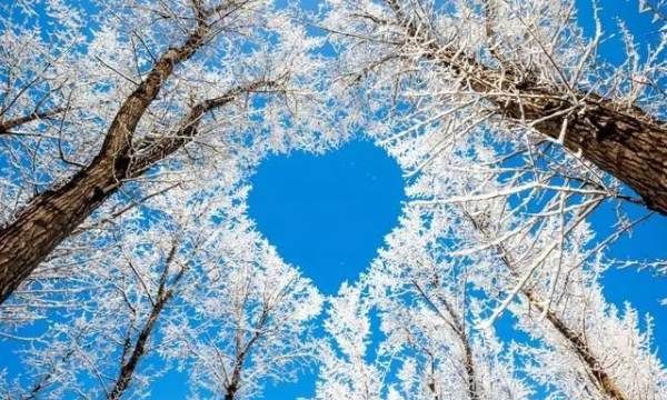 发朋友圈下雪幽默句子,下雪的说说发朋友圈简短图1