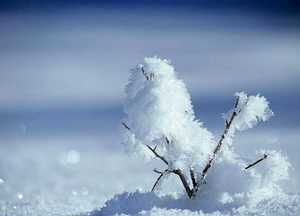 形容五月下雪幽默句子