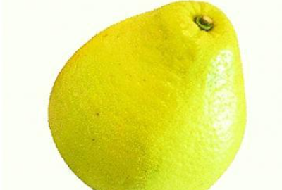 柚子在什么季节成熟,柚子是什么季节的水果图1