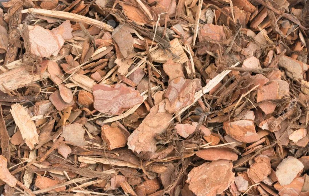 泥炭土是什么土（泥炭土和它的6种代替材料）