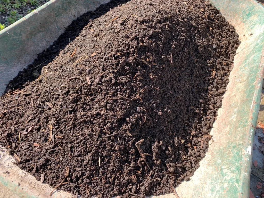 泥炭土是什么土（泥炭土和它的6种代替材料）