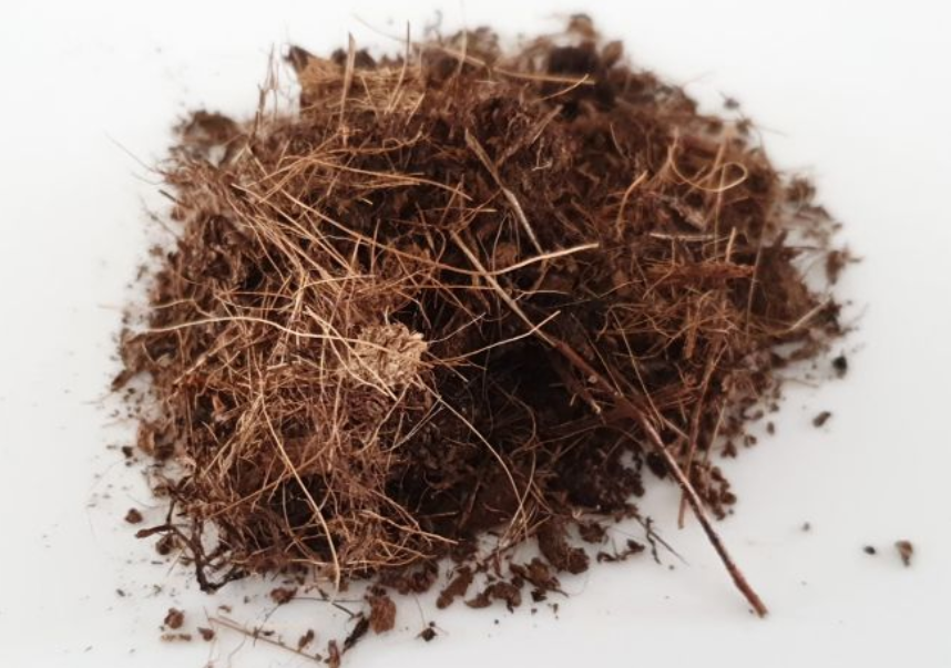 泥炭土是什么土（泥炭土和它的6种代替材料）