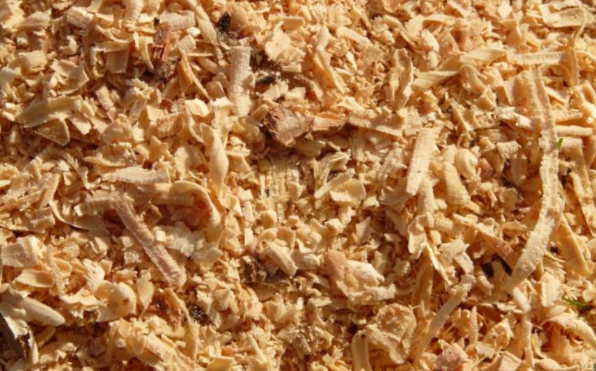 泥炭土是什么土（泥炭土和它的6种代替材料）