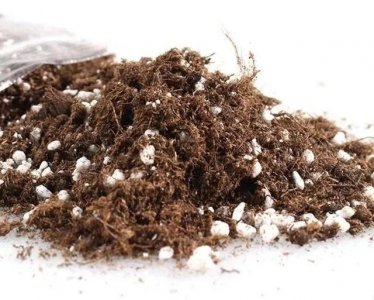 ​泥炭土是什么土（泥炭土和它的6种代替材料）